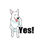 ホワイトシェパード、母＆パピ’sの日常（個別スタンプ：9）