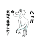 ホワイトシェパード、母＆パピ’sの日常（個別スタンプ：12）