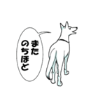 ホワイトシェパード、母＆パピ’sの日常（個別スタンプ：14）