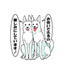 ホワイトシェパード、母＆パピ’sの日常（個別スタンプ：16）
