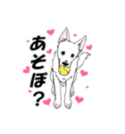 ホワイトシェパード、母＆パピ’sの日常（個別スタンプ：19）