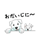 ホワイトシェパード、母＆パピ’sの日常（個別スタンプ：25）