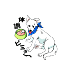 ホワイトシェパード、母＆パピ’sの日常（個別スタンプ：35）