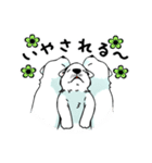 ホワイトシェパード、母＆パピ’sの日常（個別スタンプ：36）