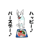 ホワイトシェパード、母＆パピ’sの日常（個別スタンプ：38）