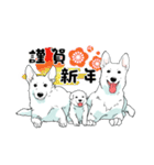 ホワイトシェパード、母＆パピ’sの日常（個別スタンプ：40）