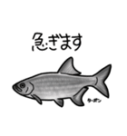 古代魚スタンプ（個別スタンプ：24）