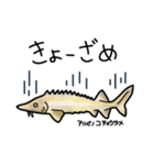 古代魚スタンプ（個別スタンプ：26）