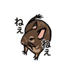 大好きデグースタンプ（個別スタンプ：4）