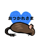 大好きデグースタンプ（個別スタンプ：17）