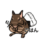 大好きデグースタンプ（個別スタンプ：24）