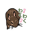 大好きデグースタンプ（個別スタンプ：26）