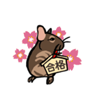 大好きデグースタンプ（個別スタンプ：36）