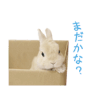 うさぎのまり坊（個別スタンプ：9）