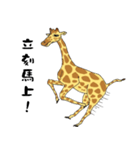 Giraffe Panay2（個別スタンプ：12）