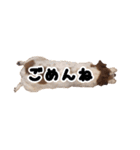 ジャックラッセルテリアのあんこ（個別スタンプ：9）