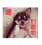 Li Bo（個別スタンプ：7）