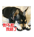 Li Bo（個別スタンプ：8）