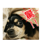 Li Bo（個別スタンプ：9）