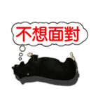Li Bo（個別スタンプ：10）