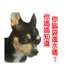 Li Bo（個別スタンプ：13）