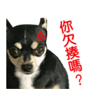 Li Bo（個別スタンプ：14）