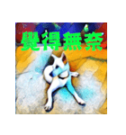 White Dog XD（個別スタンプ：12）