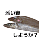 私が魚です。2（個別スタンプ：9）