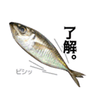 私が魚です。2（個別スタンプ：25）