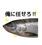 私が魚です。2（個別スタンプ：29）