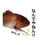 私が魚です。2（個別スタンプ：32）