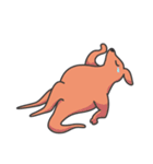 kangaroo and family（個別スタンプ：33）