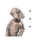犬のワイマさん（個別スタンプ：9）