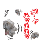 犬のワイマさん（個別スタンプ：17）