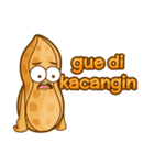 kacang boy（個別スタンプ：1）