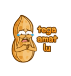 kacang boy（個別スタンプ：14）