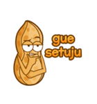 kacang boy（個別スタンプ：22）