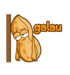 kacang boy（個別スタンプ：28）