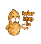 kacang boy（個別スタンプ：30）