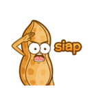 kacang boy（個別スタンプ：33）