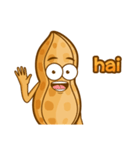 kacang boy（個別スタンプ：37）