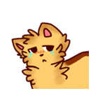 dream the yellow cat（個別スタンプ：6）