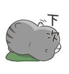 Jojo's life - 3（個別スタンプ：40）