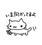 のほほんねこ ぽこの日常（個別スタンプ：12）