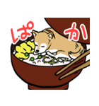 ふたのくらし（個別スタンプ：37）