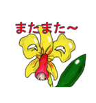 洋ラン・わーるど（個別スタンプ：4）