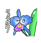 洋ラン・わーるど（個別スタンプ：12）