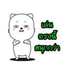 Meowji（個別スタンプ：12）