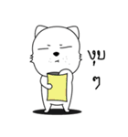 Meowji（個別スタンプ：27）