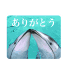 生きもの人気ものスタンプ（個別スタンプ：2）